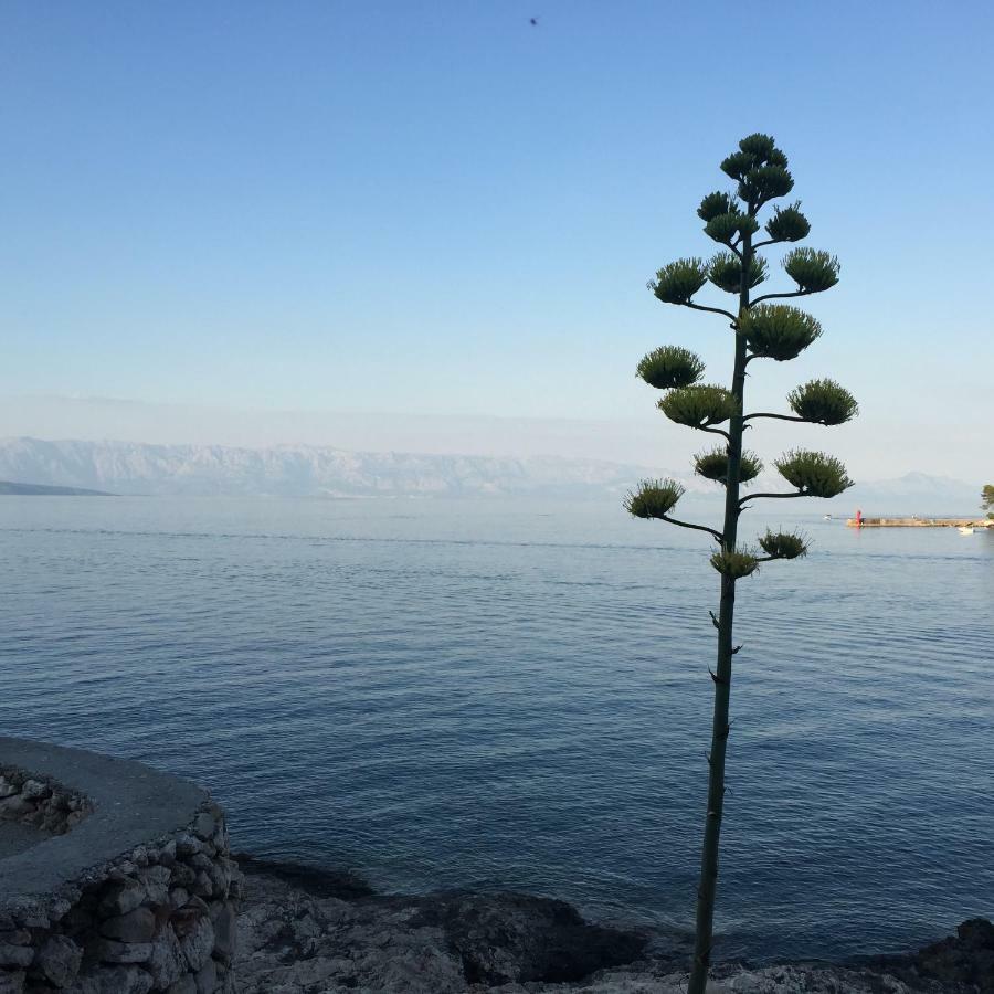 Hotel Vila Familia Hvar Vrboska Esterno foto